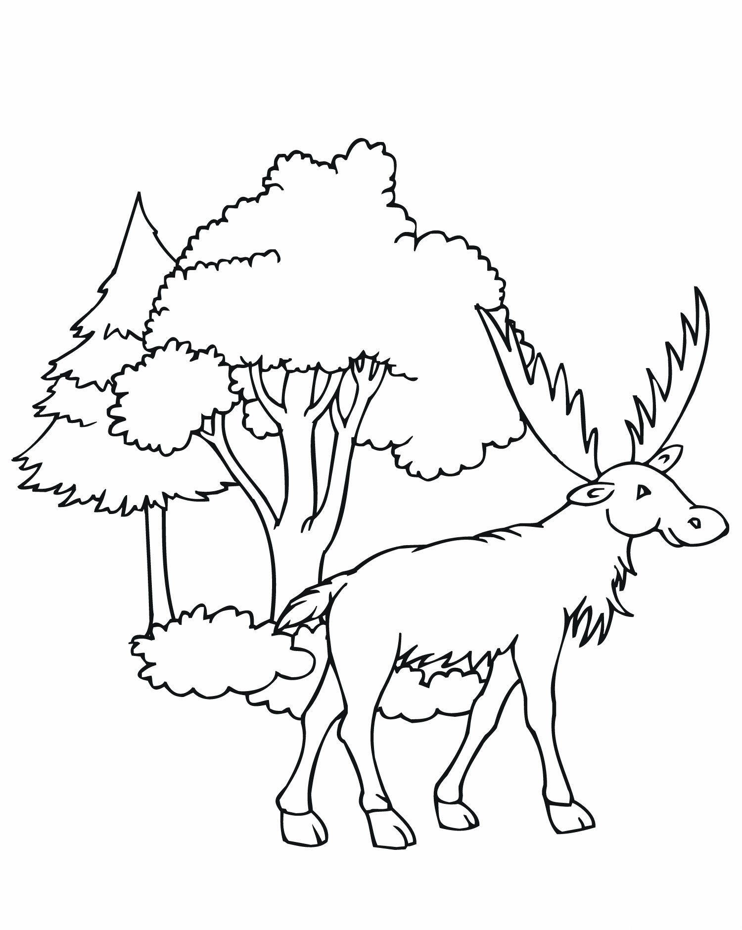 1500x1880 Free Printable Moose Coloring Pages For Kids