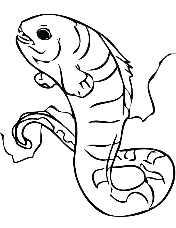600x776 Eel Coloring Page Eel Coloring Pages Wolf Eel Picture Coloring