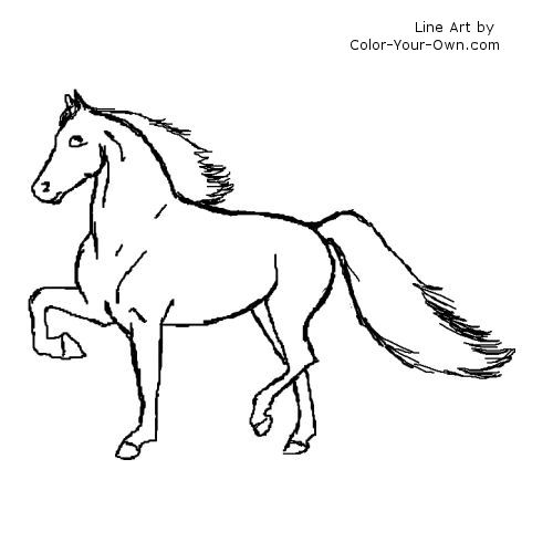 500x500 Gaited Morgan Horse Coloring Page