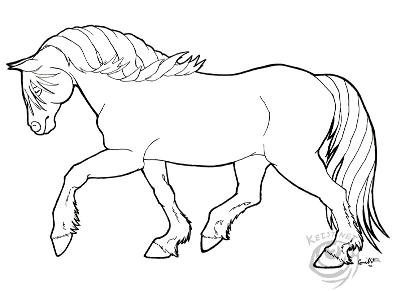 800x582 Haflinger Coloring Page