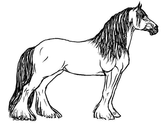 641x504 Horses Coloring Pages Fresh Horse Coloring Pages Coloringpagesabc
