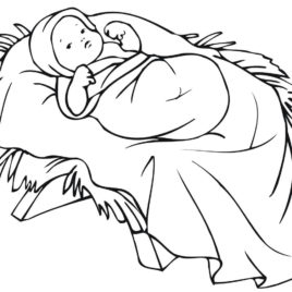 268x268 Morgan Horse Coloring Page Archives