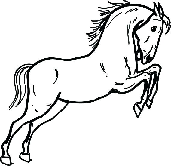 569x552 Unicorn Coloring Sheets Google Images Search Engine Unicorns