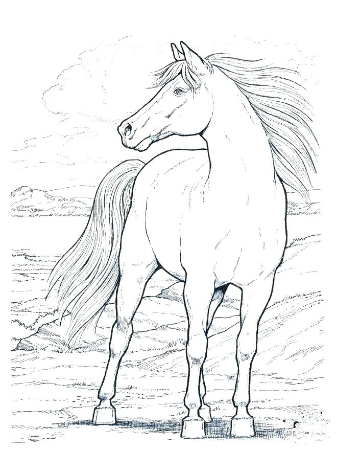660x880 Unique Mustang Horse Coloring Pages Printable Frieze
