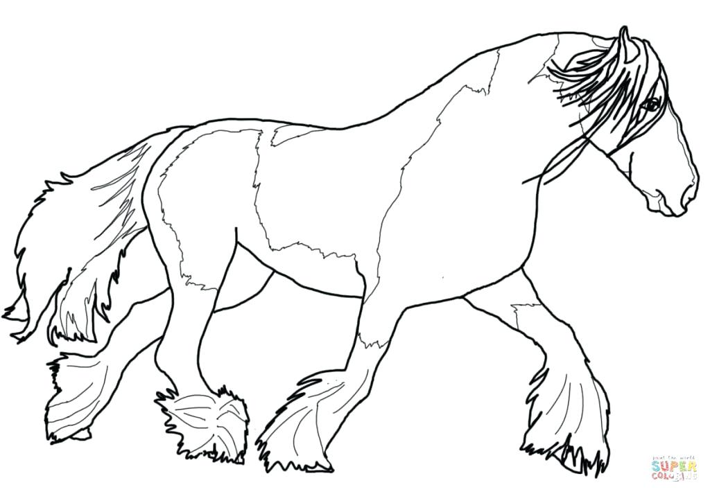 1024x713 Morgan Horse Coloring Pages