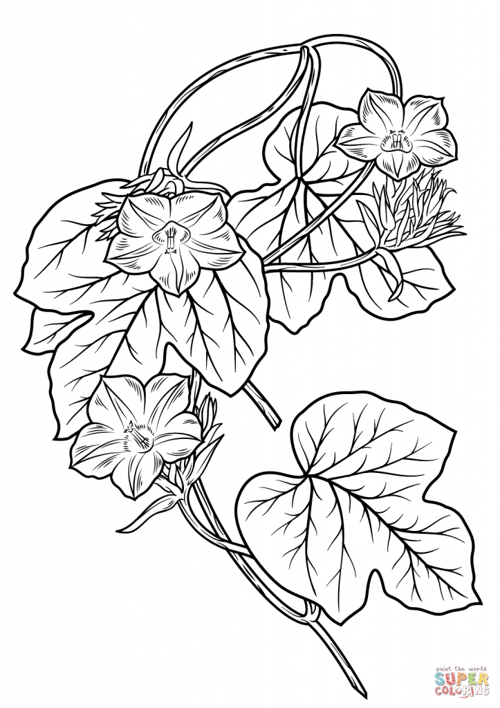 723x1024 Coloring Pages Anita Boeira