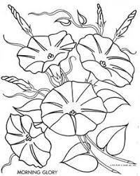 Morning Glory Coloring Page