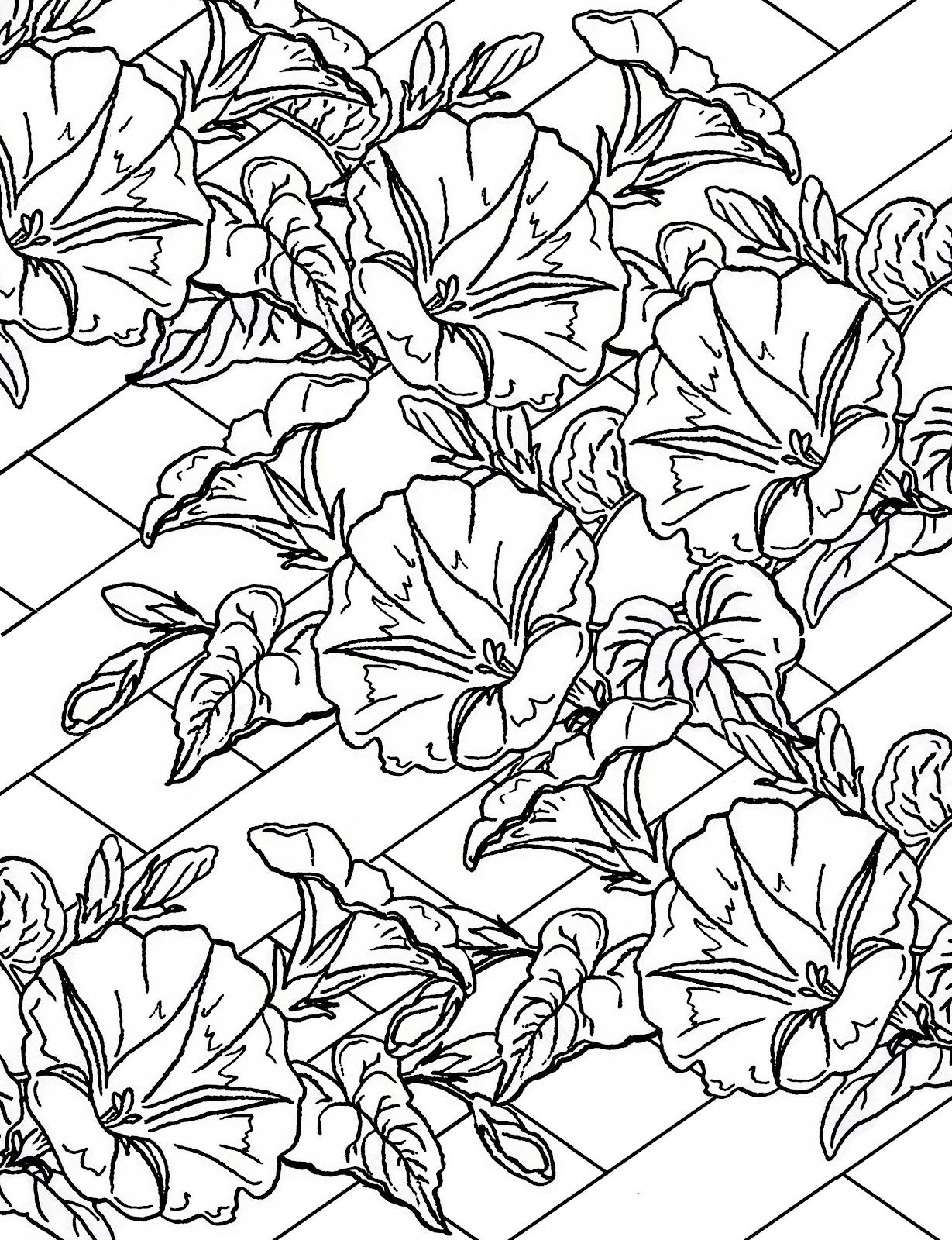 1229x1600 Trellis Coloring Pages