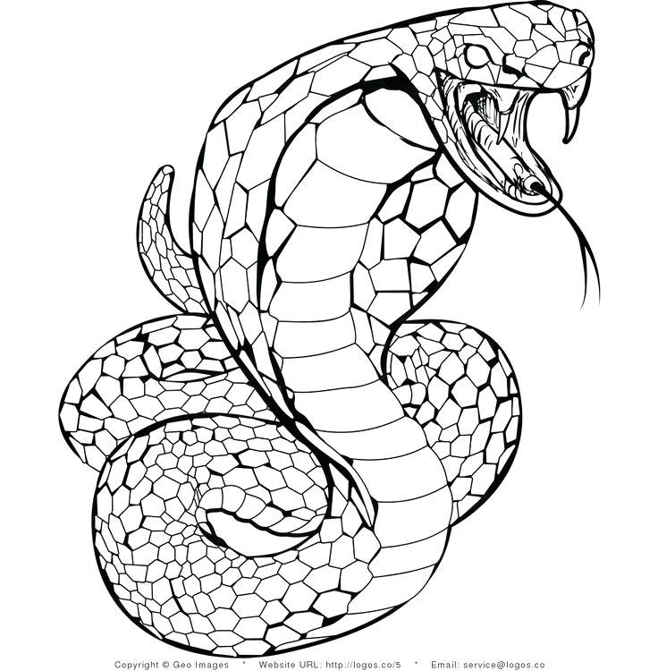 736x750 And Image Result For Mosaic Coloring Pages For Adults Snake Cobra