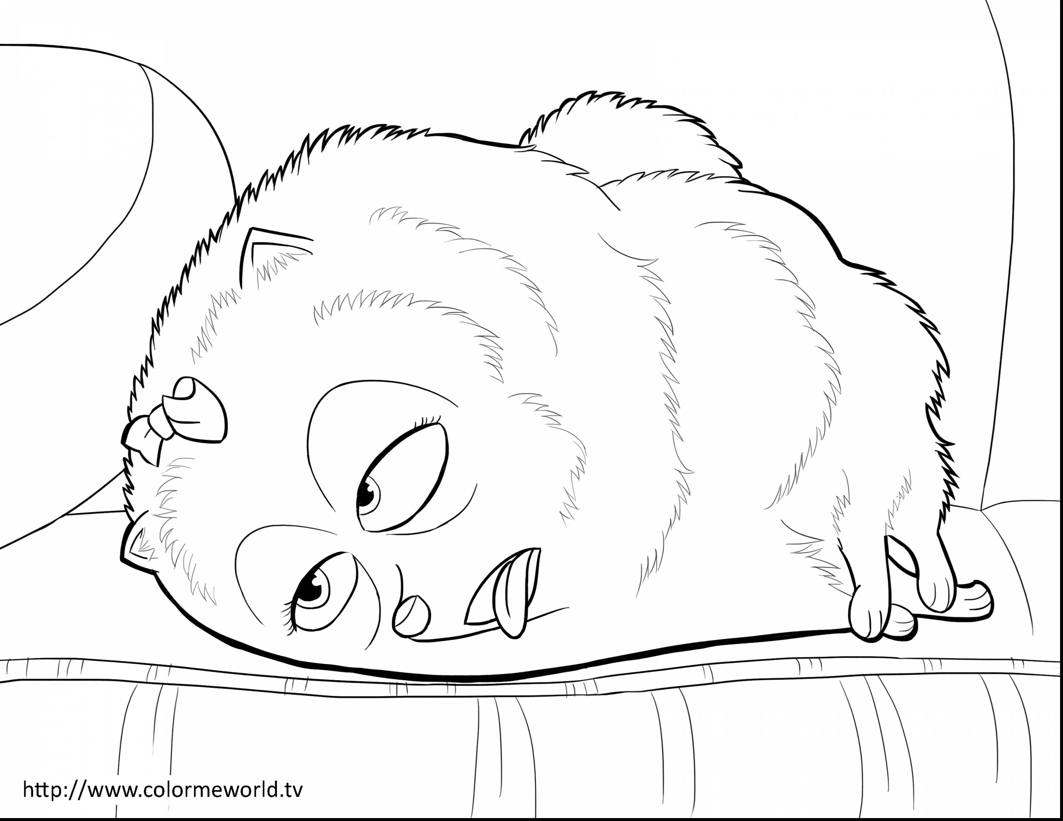 3630x2805 Unbelievable Secret Life Of Pets Coloring Pages With Grinch
