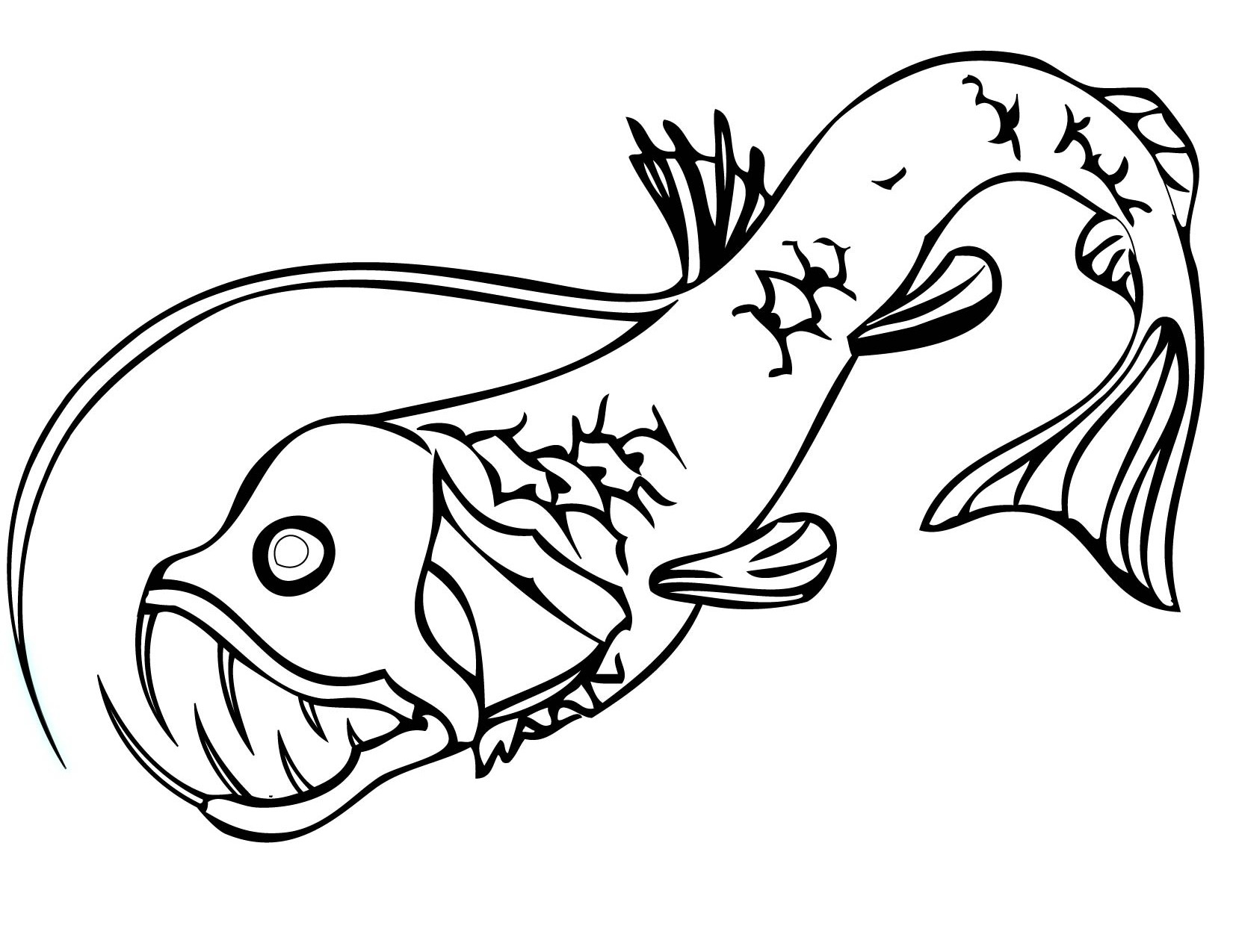 1650x1275 Viper Fishes Coloring Pages Collection Coloring For Kids