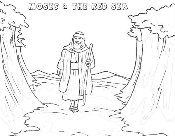 600x469 Moses Walking Through Red Sea Coloring Page Color Luna