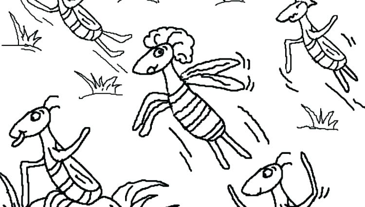 750x425 Ten Plagues Coloring Page