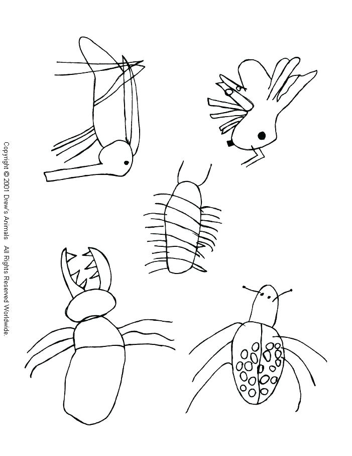 701x907 Mosquito Coloring Page Mosquito Coloring Page Animal Coloring Page