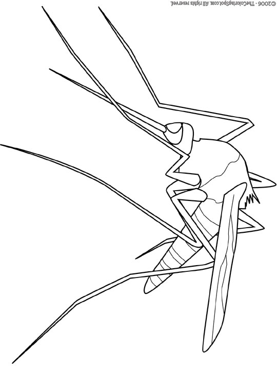 540x720 Mosquito Coloring Pages