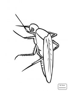 225x300 Coloring For Kids Printable Bug Pages Mosquito Free