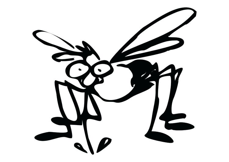 750x531 Coloring Page Mosquito Coloring Page Mosquito Free Mosquito
