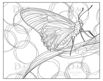 340x270 Moth Wing Drawing Etsy