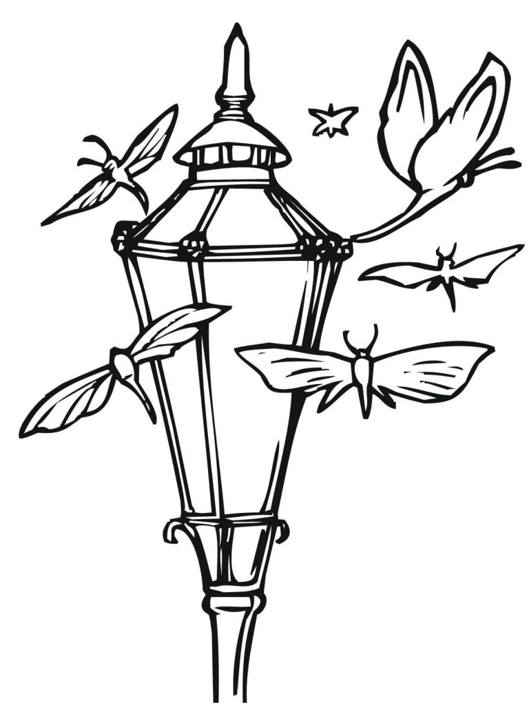 768x1024 Moths And Lantern Coloring Book
