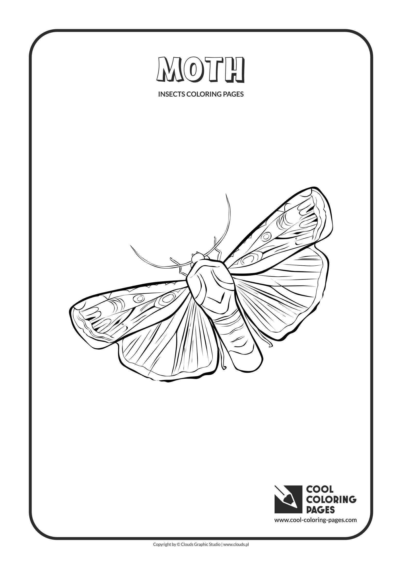 1654x2339 Cool Coloring Pages Moth Coloring Page