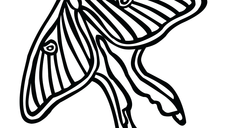 960x544 Disney Butterfly Coloring Pages For Kids Page And Heart Free