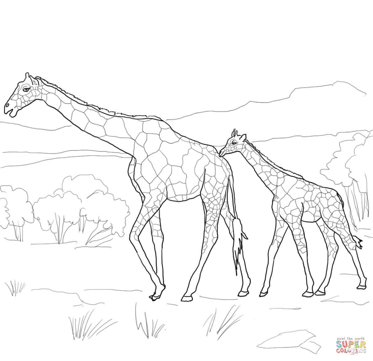 1200x1160 Baby Animal Match Coloring Page