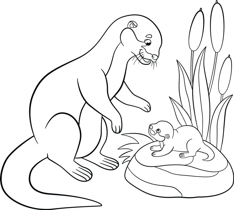 800x717 Mother And Baby Coloring Pages Coloring Pages Mother Otter Looks