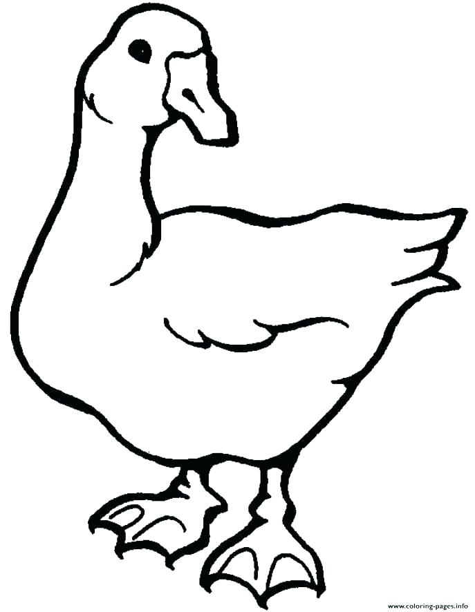 687x886 Goose Coloring Page S S S S Mother Goose Coloring Pages Free