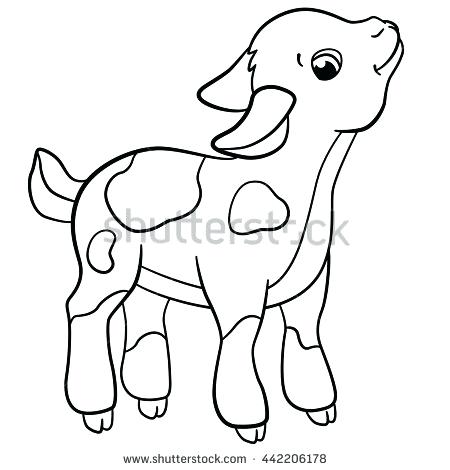450x470 Goat Coloring Pages Coloring Pages Farm Animals Little Cute Stock