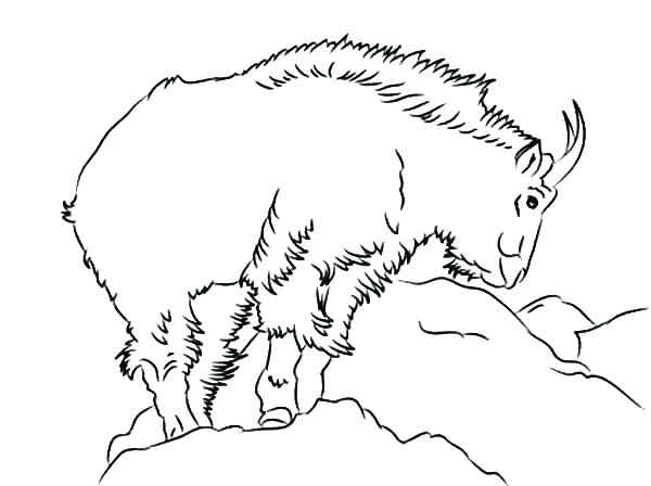 600x448 Goat Coloring Pages Goat Coloring Sheet Mountain Coloring Page