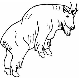 300x300 Mountain Goat Coloring Page