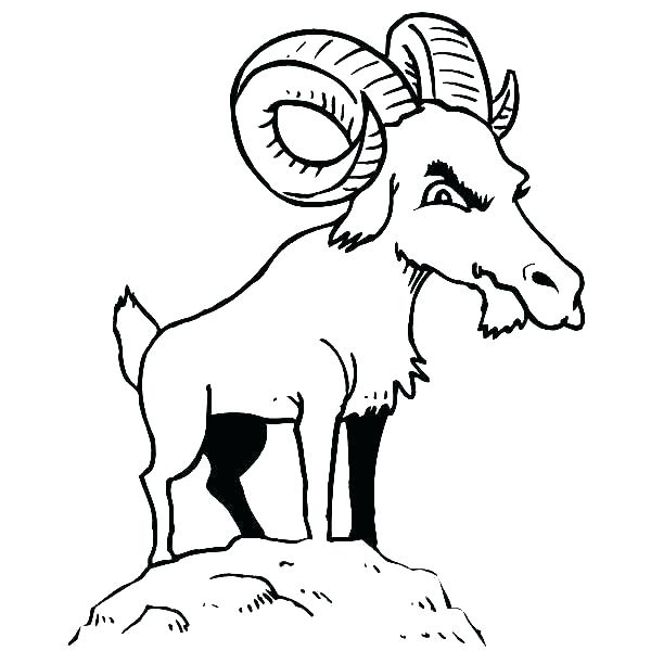600x600 Coloring Pages Goat