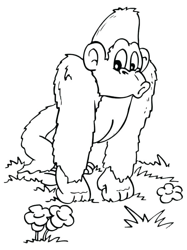 600x803 Gorilla Coloring Pages Gorilla Coloring Pages Free Printable