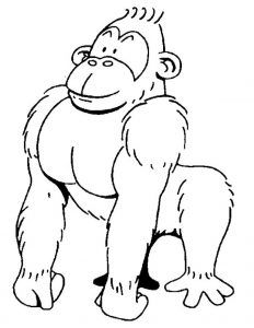 232x300 Best Gorilla Coloring Pages Images On Kindergarten