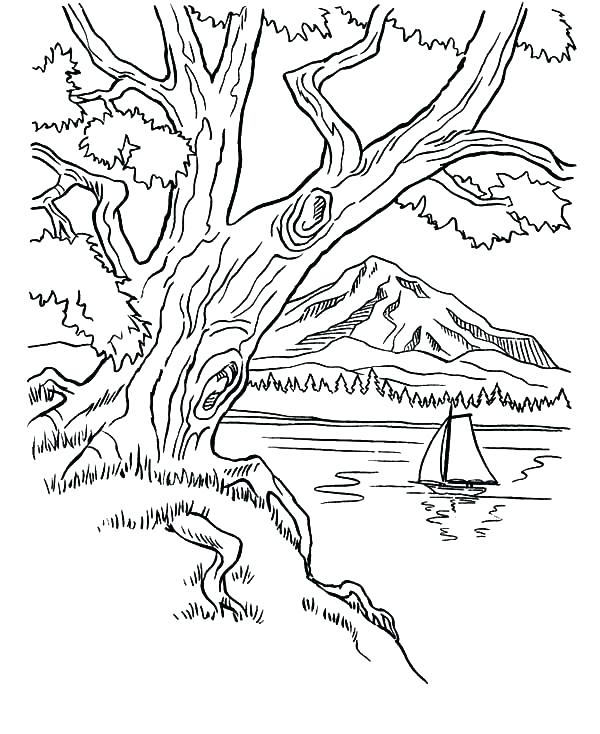 600x734 Mountain Coloring Pages Mountain Coloring Pages Image Mountain