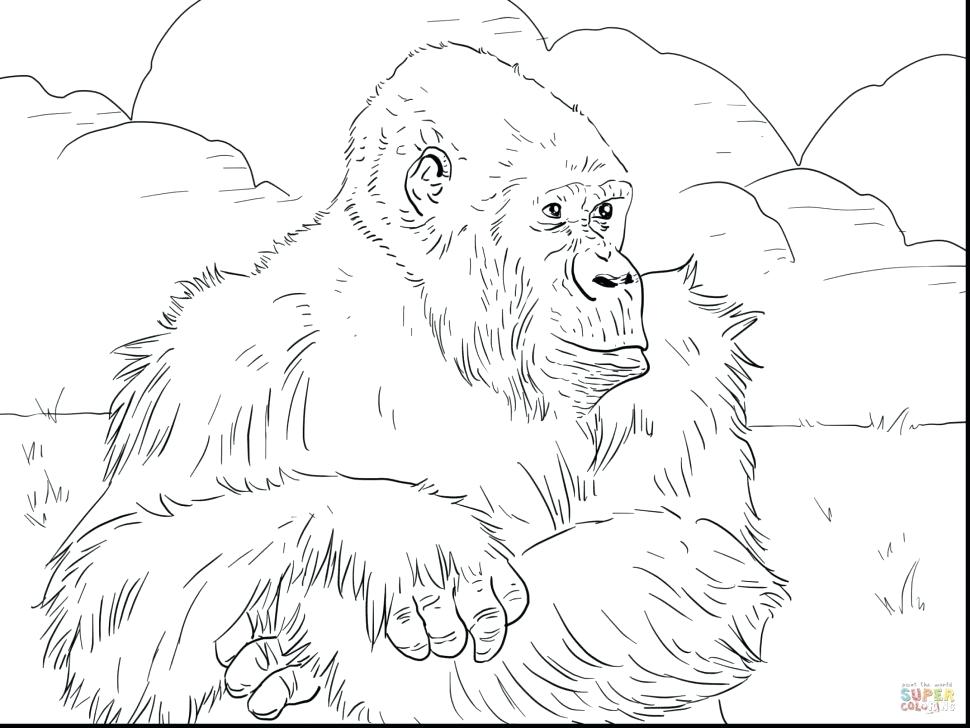 970x728 Mountains Coloring Page Coloring Page Monkey Village