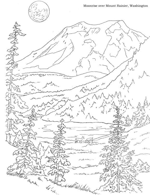 577x750 Woods Landscape Coloring Pages
