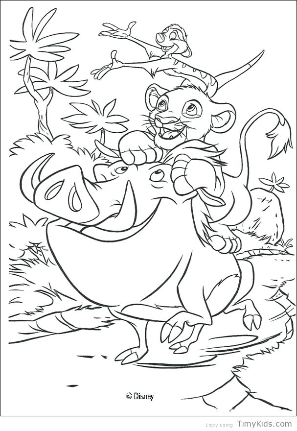 607x880 Lion Coloring Coloring Pages Lion King Mountain Lion Coloring Book