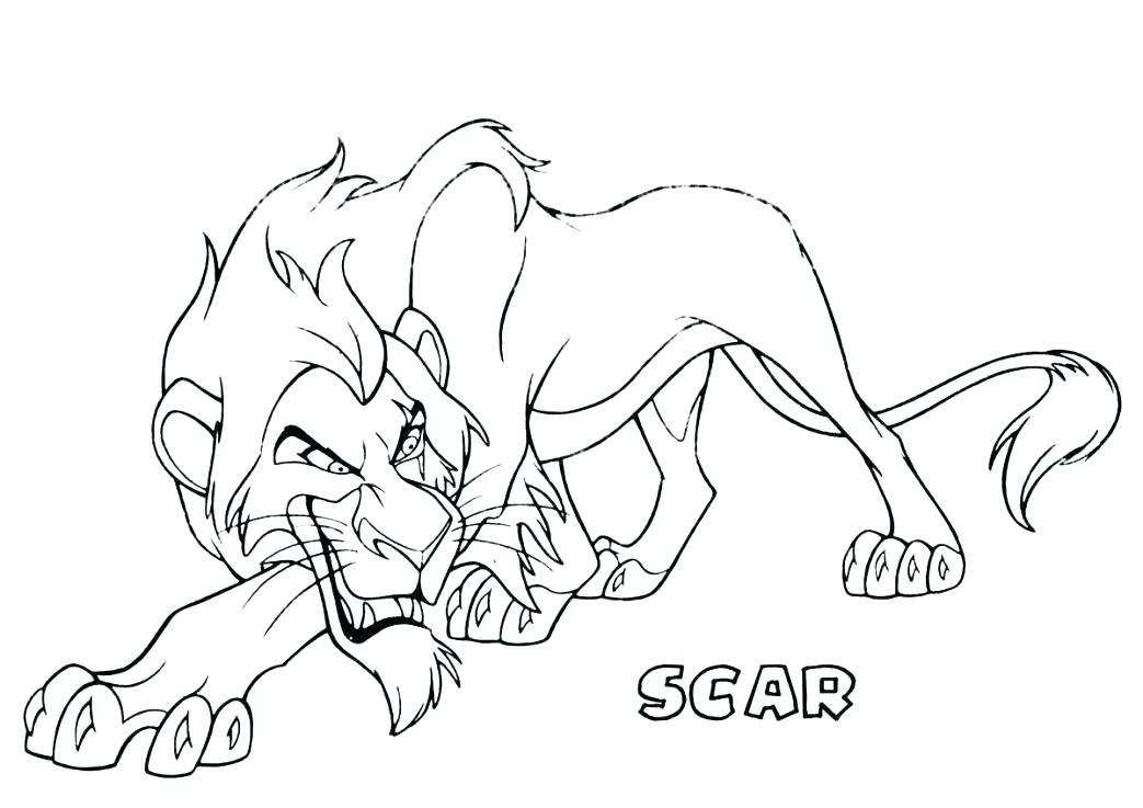 1043x737 Lion Drawing For Coloring Mountain Lion Coloring Page Lion Drawing