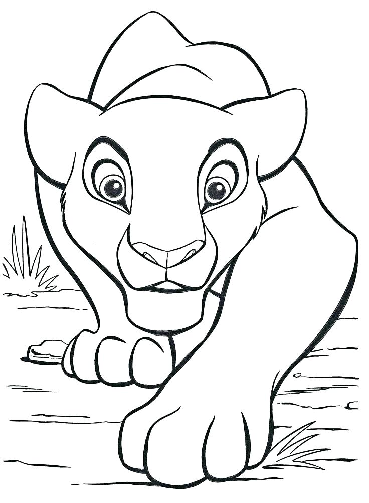 736x1003 Baby Lion Colouring Pages Printable Coloring Mountain Lion