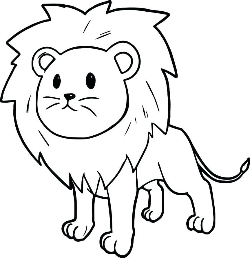 863x888 Mountain Lion Coloring Page Lion Picture Color Lion Picture