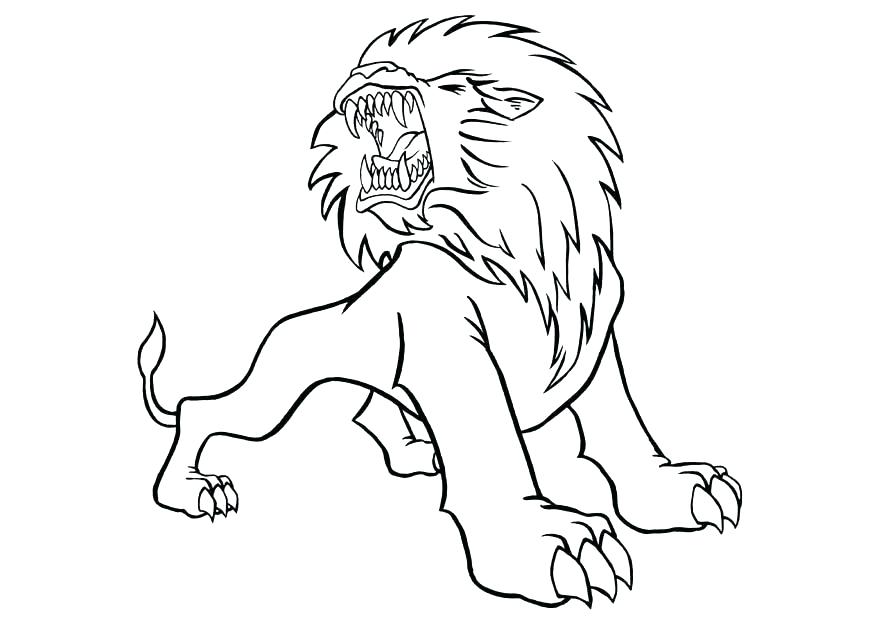 875x620 Mountain Lion Coloring Pages Lion Coloring Pages Packed With Lion