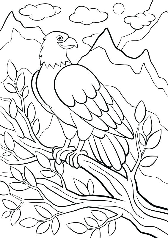 565x800 Mountain Coloring Pages