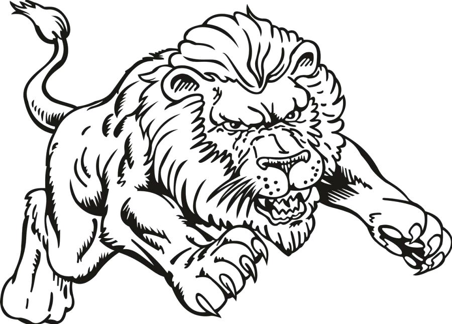 900x645 Free Printable Mountain Lion Coloring Pages Sheet Page Color