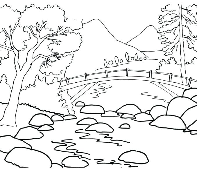 678x600 Scenery Coloring Pages Beautiful Coloring Pages Of Flowers