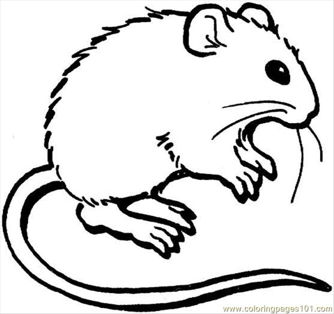 650x612 Mouse Coloring Page Coloring Page