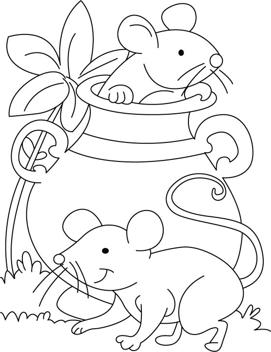 558x724 Mouse Coloring Page