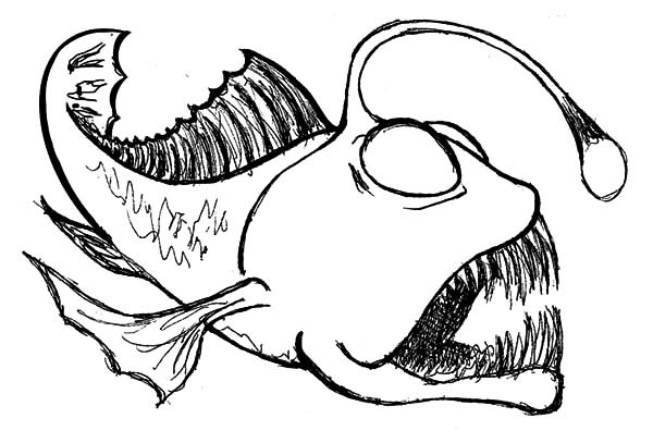 600x407 Angler Fish Coloring Pages Angler Fish Coloring Pages Angler