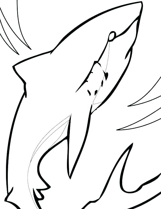 618x800 Shark Open Mouth Coloring Pages Page Image Images Shark Coloring