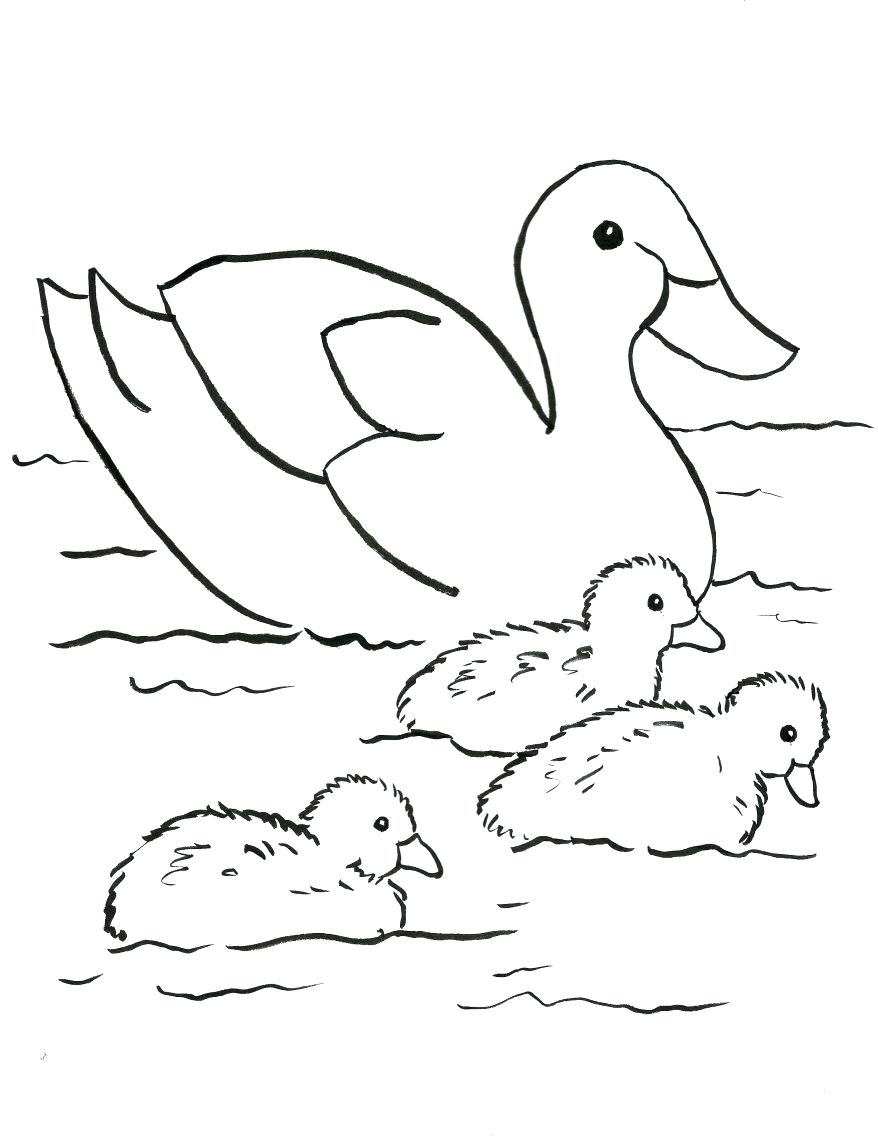 878x1145 Coloring Pages Crab Coloring Pages Downloads Ducks